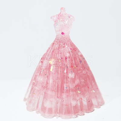 Resin Craft Display Decorations DJEW-PW0021-28B-1