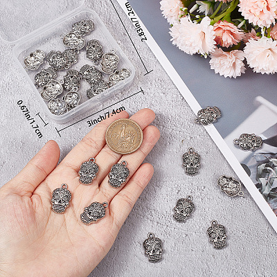 30Pcs Tibetan Style Alloy Pendants FIND-SC0004-58-1