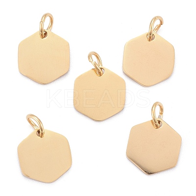 201 Stainless Steel Charms LS-STAS-S105-T626-2-1