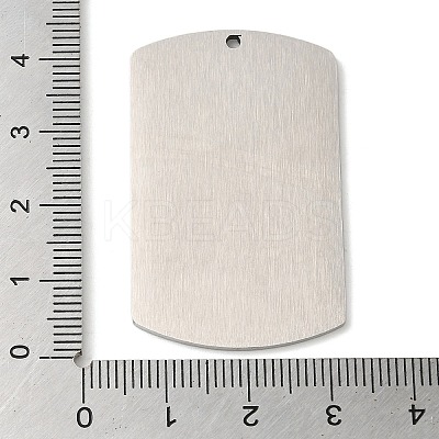 Non-Tarnish 304 Stainless Steel Pendants LS-STAS-C098-01A-P-1