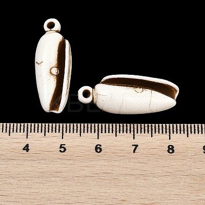Spray Painted Opaque Acrylic Pendants ACRP-F003-03E-1