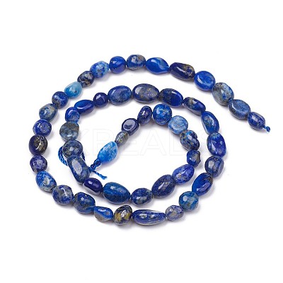 Natural Lapis Lazuli Beads Strands LS-G-L493-40-1