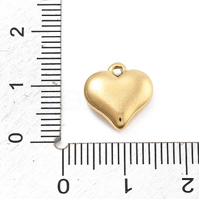 304 Stainless Steel Charms STAS-R155-054B-G-1