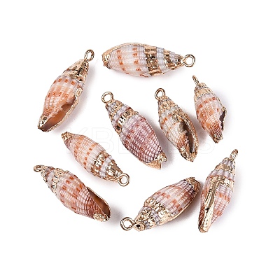 Electroplated Golden Brass Trim Natural Spiral Shell Pendants SSHEL-N042-39-1
