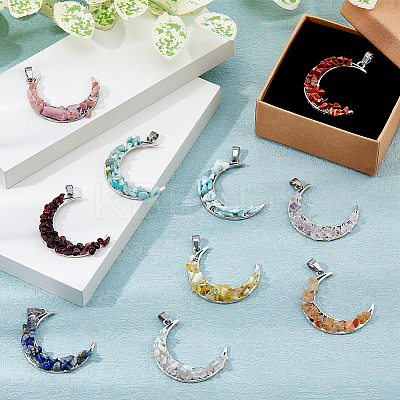 20Pcs 10 Styles Natural Mixed Stone Chip Pendants PALLOY-FH00070-1