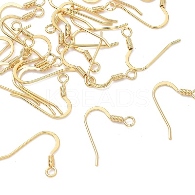 SHEGRACE Brass Earring Hooks XGR0139G-152G-1