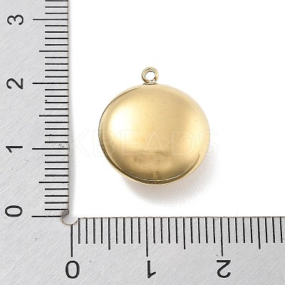 316 Surgical Stainless Steel Pendants LS-STAS-A108-01C-G-1