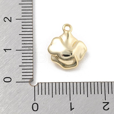 Brass Pendants LS-KK-D283-08G-1