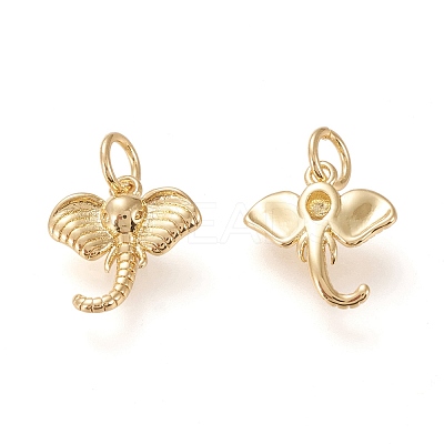 Brass Charms KK-L006-009G-1