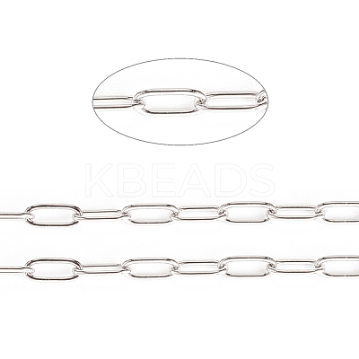 Tarnish Resistant 304 Stainless Steel Paperclip Chains CHS-F010-01D-P-1