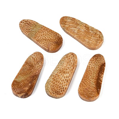 Natural Fossil Coral Pendants G-Q606-67-1