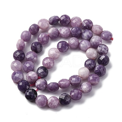 Natural Lepidolite/Purple Mica Stone Beads Strands G-C179-A38-03-1