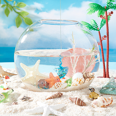 14 Styles Natural Shell Ornaments AJEW-PH0011-89-1