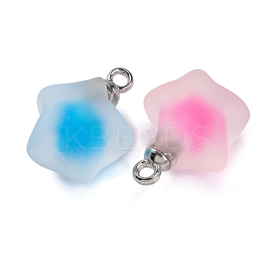 Frosted Resin Star Pendants RESI-U002-08-1