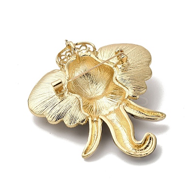 Enamel Rhinestone Brooch JEWB-K027-06G-1