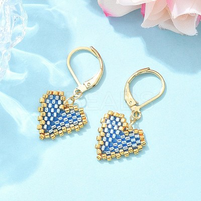304 Stainless Steel Leverback Earrings for Women EJEW-MZ00408-1