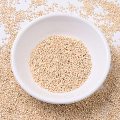 MIYUKI Delica Beads SEED-JP0008-DB0205-1