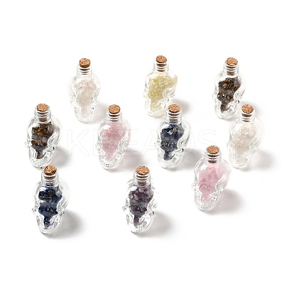 Mixed Gemstones Chips in Skull Glass Bottle Display Decorations DJEW-G039-02-1