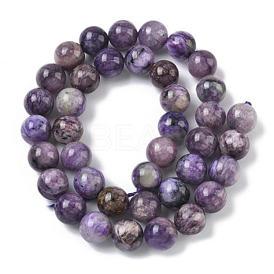 Natural Charoite Beads Strands G-C270-O02-10-1
