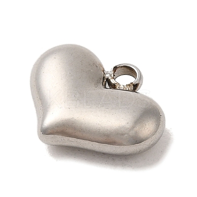 304 Stainless Steel Charms STAS-S131-12P-1