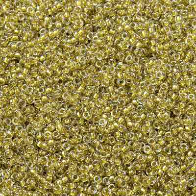 MIYUKI Round Rocailles Beads X-SEED-G009-RR1125-1