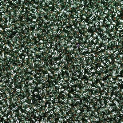 MIYUKI Delica Beads SEED-X0054-DB2165-1