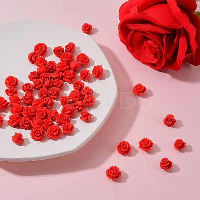 80Pcs 2 Style Cinnabar Beads CARL-SZ0001-01-1