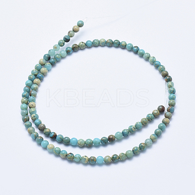 Natural Aqua Terra Jasper Beads Strands LS-G-E444-14A-4mm-1