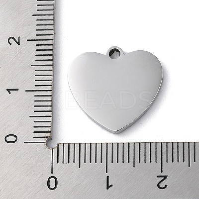 Non-Tarnish 304 Stainless Steel Pendants STAS-D025-01P-02-1
