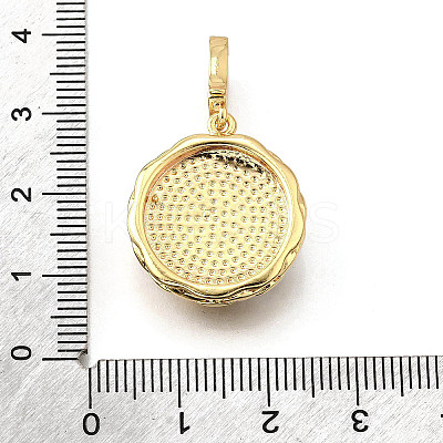 Brass Micro Pave Cubic Zirconia & Enamel Pendants KK-R222-12G-01-1