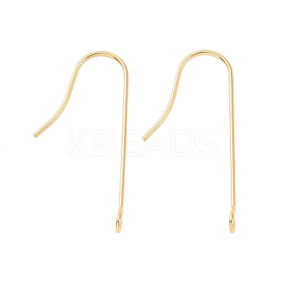 316 Surgical Stainless Steel Earring Hooks LS-X-STAS-E027-01B-G-1