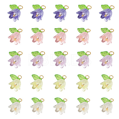 25Pcs 5 Colors Acrylic Charms KY-TA0001-22-1