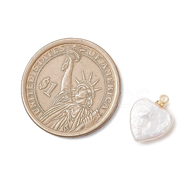Natural Baroque Pearl Keshi Pearl Pendants PALLOY-JF04777-02-1