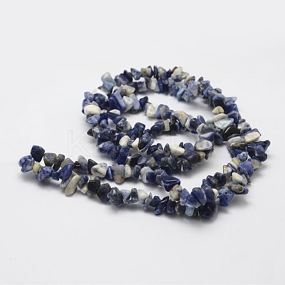 Natural Sodalite Beads Strands G-F328-25-1