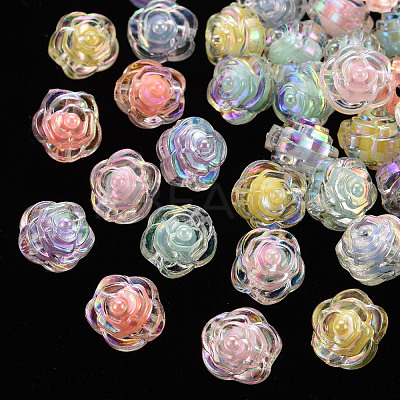 Transparent Acrylic Beads X-TACR-T024-06B-1