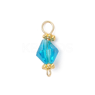 Imitation Austrian Crystal Connector Charms PALLOY-JF04493-1