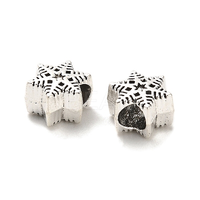 Tibetan Style Alloy European Beads PALLOY-K019-03H-AS-1