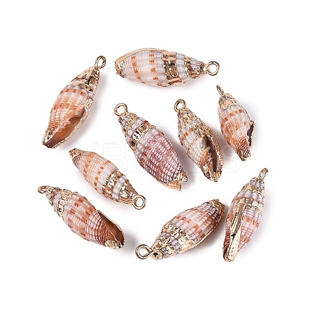 Electroplated Golden Brass Trim Natural Spiral Shell Pendants SSHEL-N042-39-1