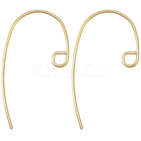 40Pcs Brass Earring Hooks KK-BBC0010-19G-1