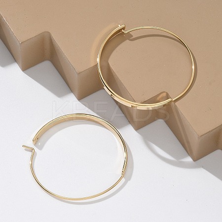 304 Stainless Steel Ring Hoop Earrings for Women X-EJEW-Q781-04G-1