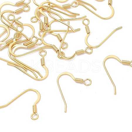 SHEGRACE Brass Earring Hooks XGR0139G-152G-1