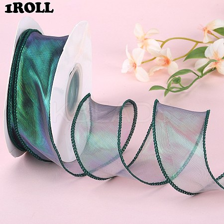 2roll Polyester Organza Ribbon DIY-SZ0010-21D-1