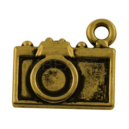 Tibetan Style Alloy Pendants LS-TIBEP-48673-AG-FF-1