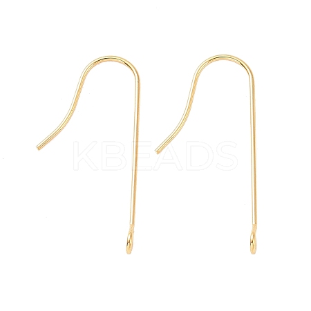 316 Surgical Stainless Steel Earring Hooks LS-X-STAS-E027-01B-G-1
