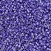 MIYUKI Delica Beads SEED-X0054-DB1569-3