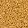 MIYUKI Delica Beads SEED-MY11-DB0651-3