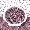 Silver Lined Glass Seed Beads SEED-T007-18A-10-2