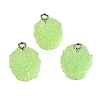 Resin Pendants FIND-U031-11A-P-1