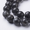 15.5 inch Natural Larvikite Beads Strands GSR12mmC128-2