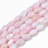 Natural Freshwater Shell Beads Strands SHEL-N003-25-B06-1